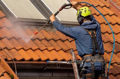 Démoussage et hydrofuge de toiture à Bersaillin